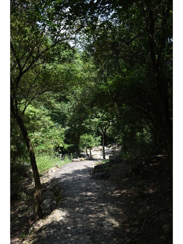 戶外徒步,就去廈門天竺山大峽谷氧吧…… 戶外徒步,就去廈門天竺山大峽谷氧吧……