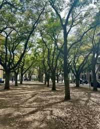 休斯頓水牆公園｜休閒娛樂的好去處