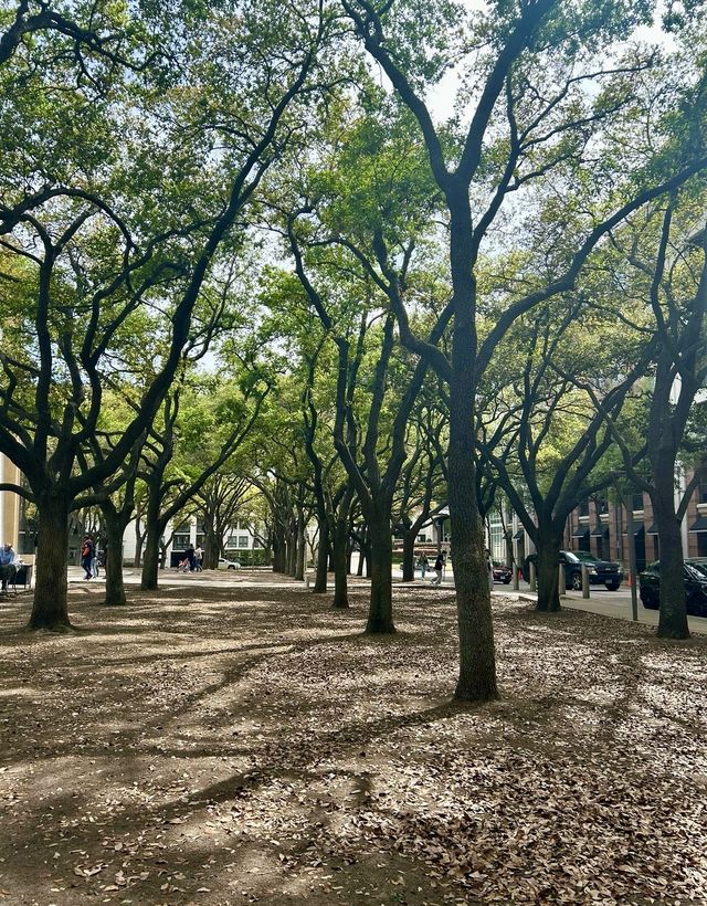 休斯頓水牆公園｜休閒娛樂的好去處