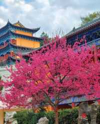 韶關翁源：千年禪宗道場～東華禪寺
