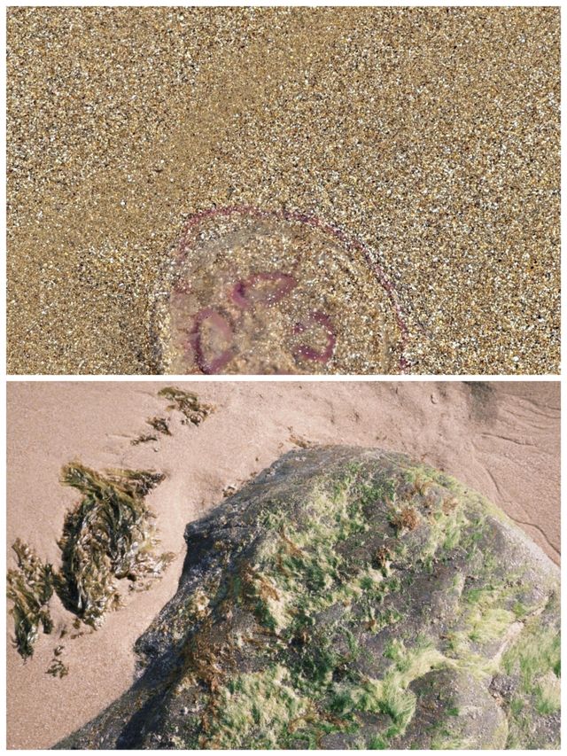 滕比，英國海邊小鎮的浪漫秘境