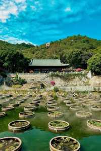 廈門這個人少景美的寺廟只有本地人才知道。