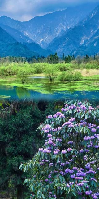 Chengdu's Secret Forest: A 1.5-Hour Drive to Hiking Paradise (Detailed Guide)