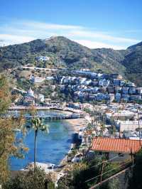 在南加州 Catalina Island 的一天