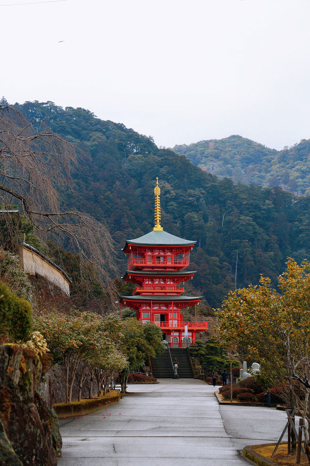 日本世界遺產那智山