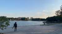 上海嘉定週末遊：湖光與藝術的浪漫邂逅