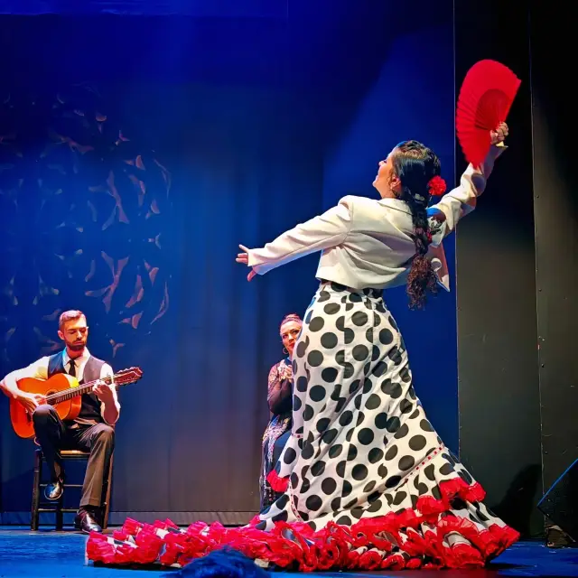 Flamenco: A Fiery Soul Unleashed in Red and Black