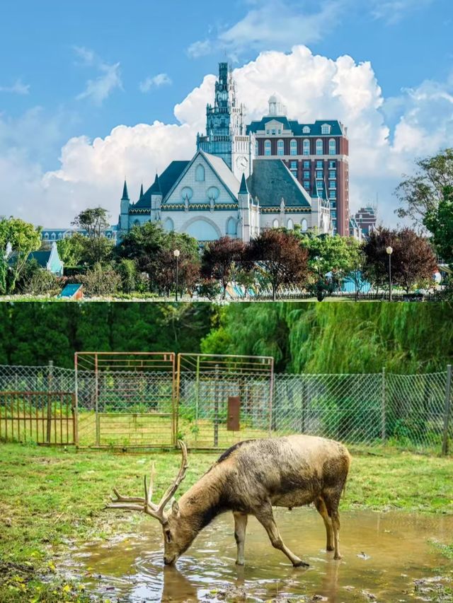 鹽城之旅已結束，我的消費觀崩塌了。