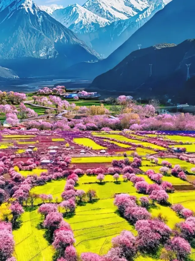 【린즈, 티베트의 강남이라 불리는 아름다운 비경】