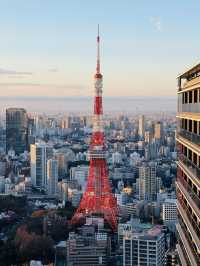 東京兩日遊：打卡、購物、美食全攻略！