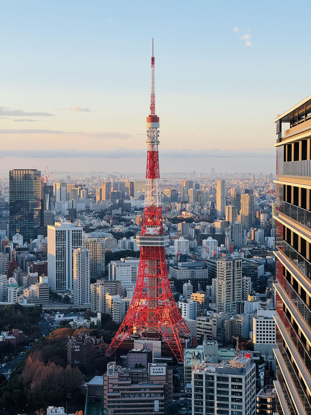 東京兩日遊：打卡、購物、美食全攻略！
