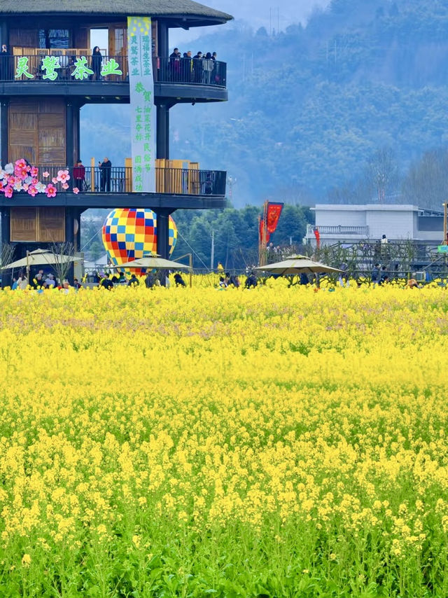 Chengdu the Spring Magic