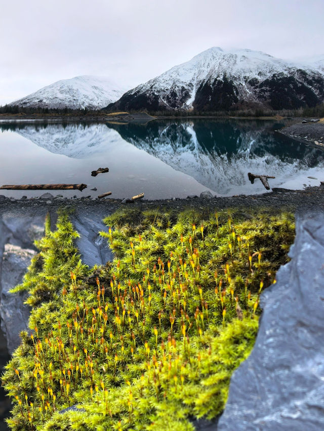 驚艷！安克雷奇到Seward的夢幻自駕遊，錯過太可惜