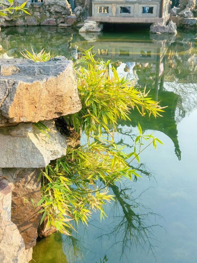 一日玩轉人間仙境，蘇州留園絕美攻略！