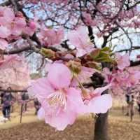 代々木公園での楽しいひととき