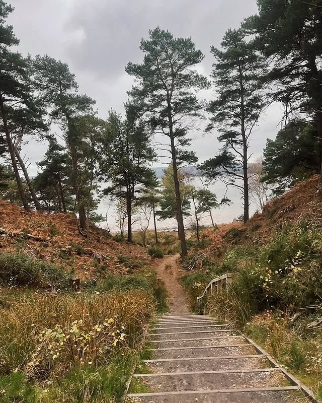 普爾港的秘境——布朗西島探秘！