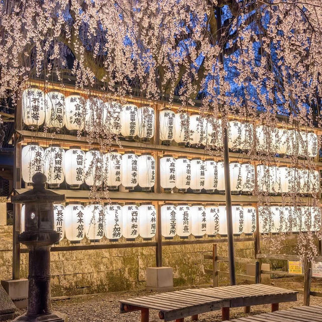京都🌸3條此生必走的City Walk賞櫻路線