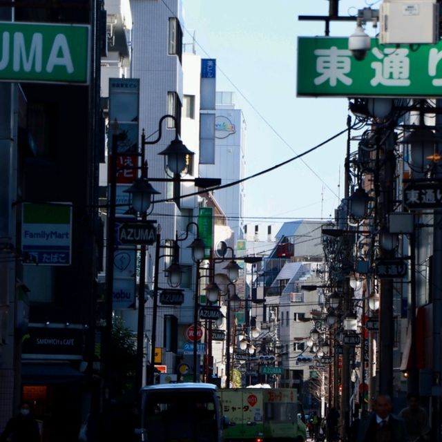 Tokyo Dreaming: From Fuji Views to Futuristic Vibes 🌸