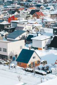 美瑛｜我願稱之為最北海道的城市 慢節奏

