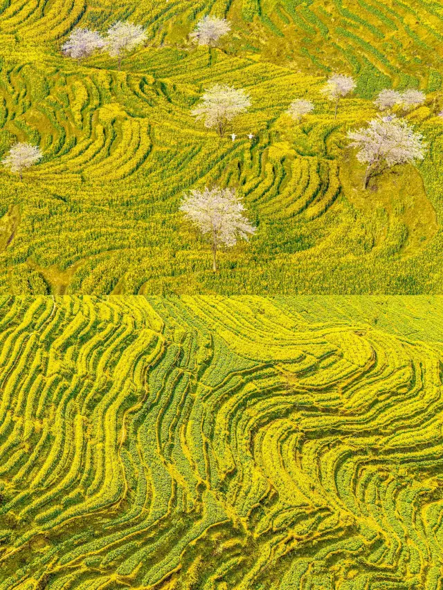 A Four-Day Trip to Wuyuan: Your Ultimate Guide