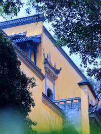 本地人都值得一去的地方——湖廣會館