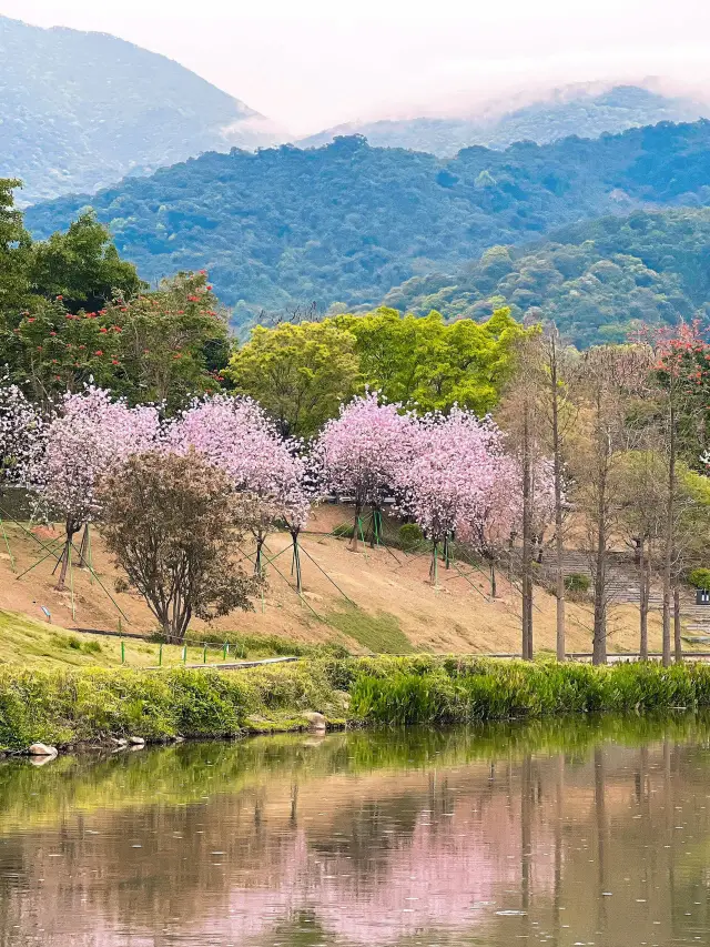 Wutong Mountain Art Village: A Haven for Dreams and Art