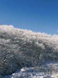 黃山小長假三日遊 超詳細攻略來啦