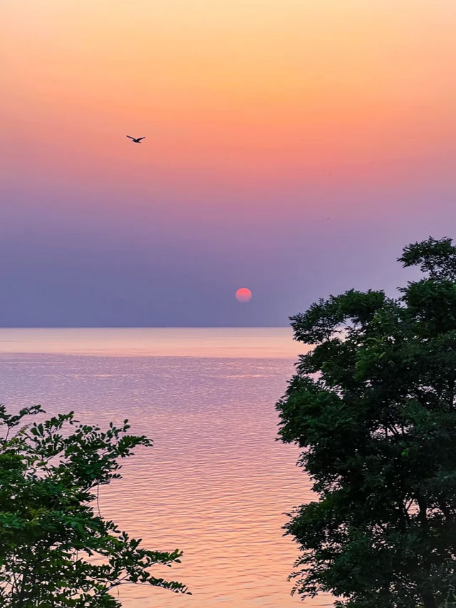 西山島｜🌍每天認識一個海島🏝️