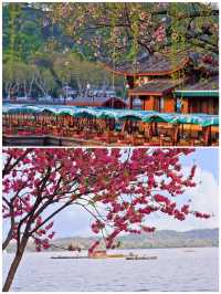 姐妹們👋，我可是個痴迷旅行嘅人，最近啱啱去杭州行咗一圈，4月嘅杭州簡直美若仙境，依家就急不及待想將呢份攻略分享俾大家，一齊踏上呢趟夢幻之旅啦！