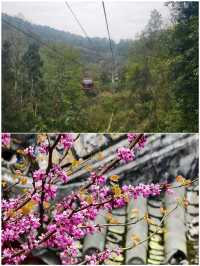 成都美食之旅防踩雷攻略