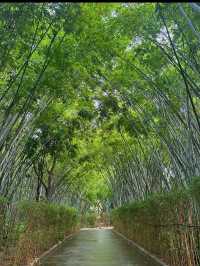 🌿白雲仙館 隱藏嘅200年道教秘境✨