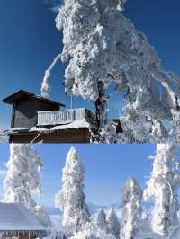 冰雪奇境·人間仙境·美到窒息——王崗坪