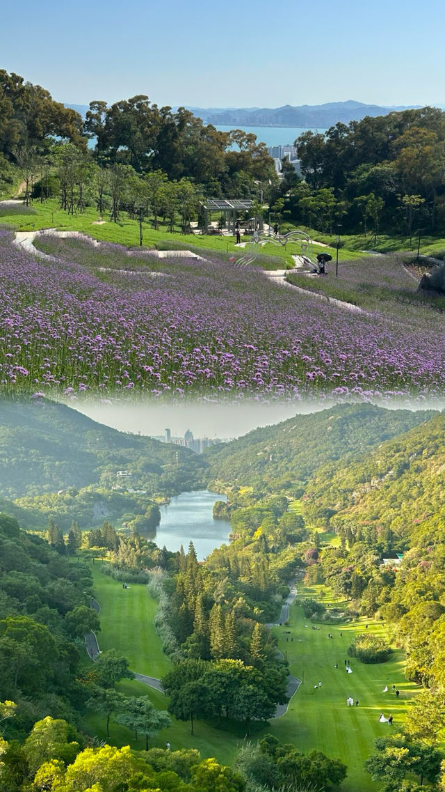 廈門旅遊｜看這篇就夠了，不踩雷超省心！