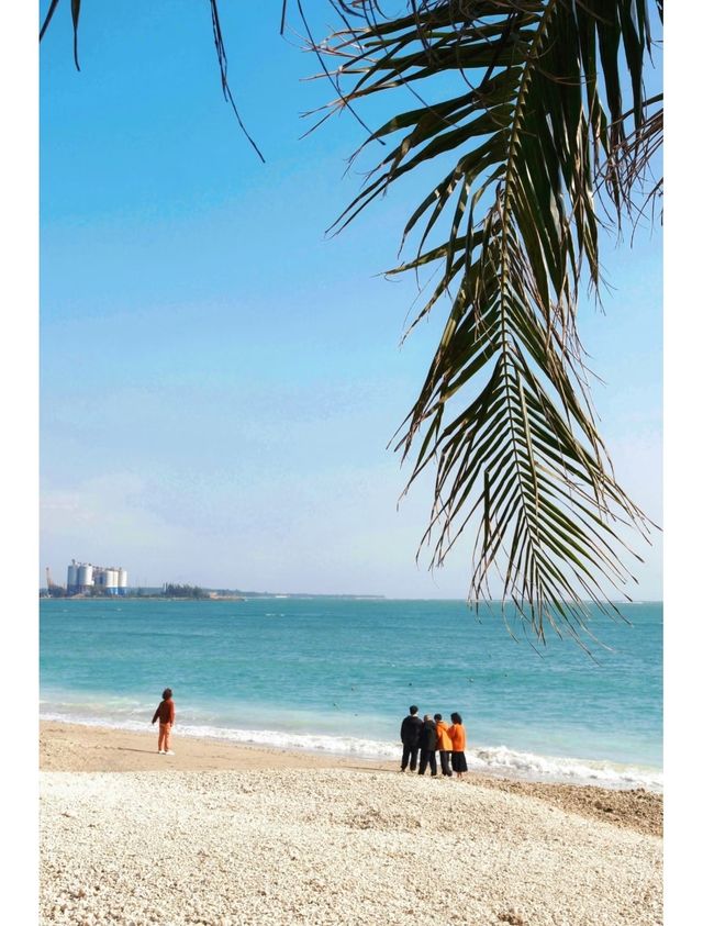 美哭了！瓊海私藏的牛奶海，堪稱夢幻天花板