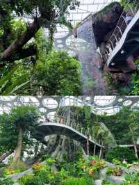 上海溫室花園｜瘋狂植物城簡直超超超超級出片！！！