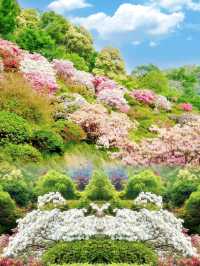 五一反向旅行｜闖入莫奈花園級花仙谷附保姆級攻略