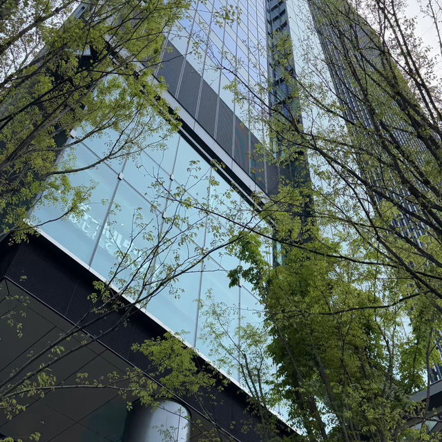 目黑中央廣場｜東京的都市綠洲🌳