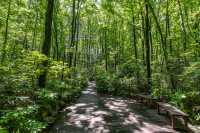 屯溪稽靈山：黃山市區不多見的原生態公園，森呼吸的絕佳去處！