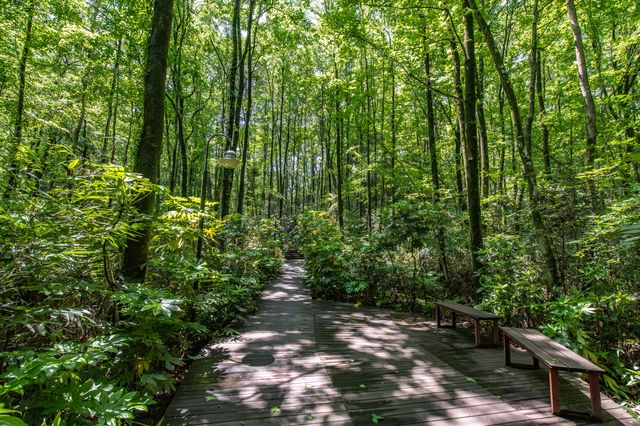 屯溪稽靈山：黃山市區不多見的原生態公園，森呼吸的絕佳去處！