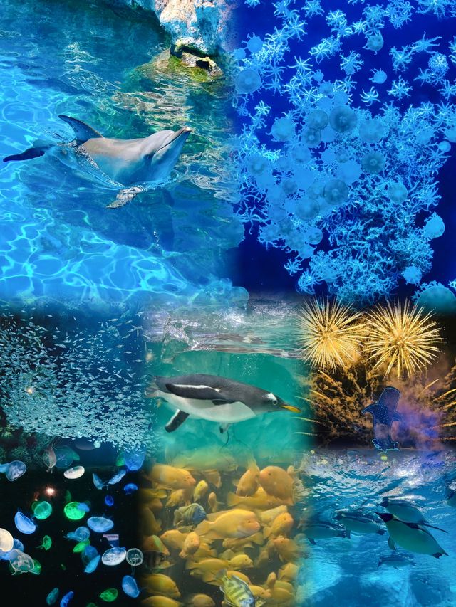 珠海週末2日遊丨真實旅遊分享