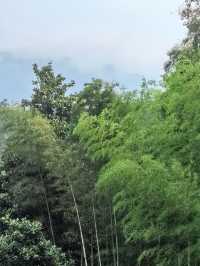 九江～廬山