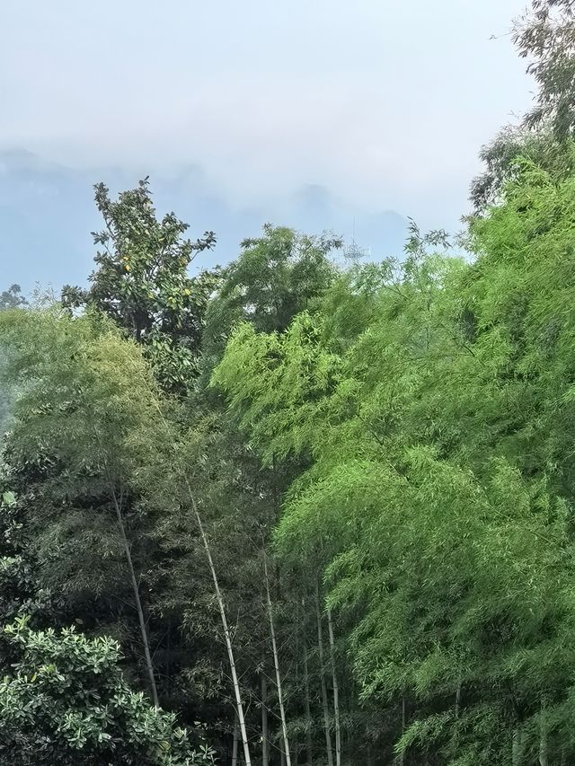 九江～廬山