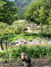 唐家河