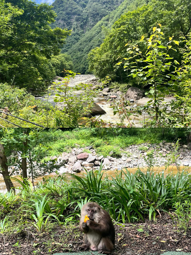 唐家河