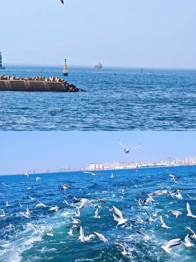 青島