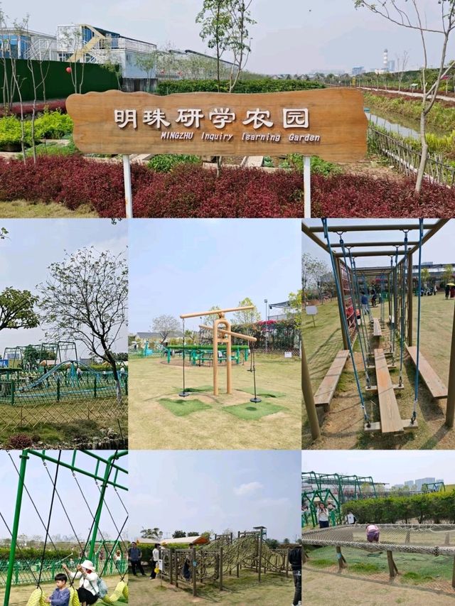 Nansha Pearl Agricultural park in guangzhou view of Sydney bridge 🇨🇳