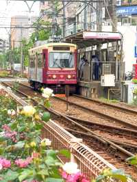 東京都電荒川線交通攻略｜搭復古電車漫遊懷舊東京
