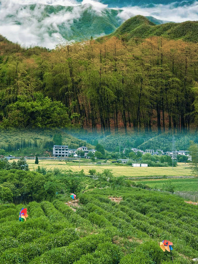 我在安吉搵到理想中嘅慢生活！