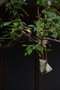 【明月松間·洱海｜端午限定】