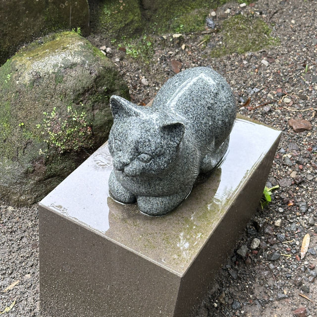 📍 南國鹿兒島，幕末風華與海洋奇遇！